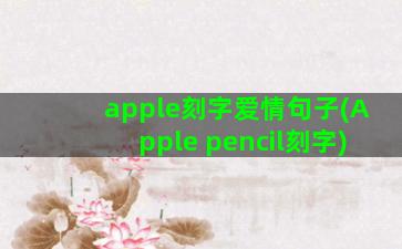 apple刻字爱情句子(Apple pencil刻字)